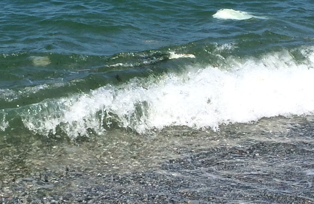 20 l mare