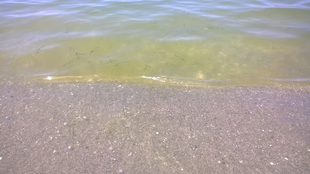 foto segnalazione 01072016 01