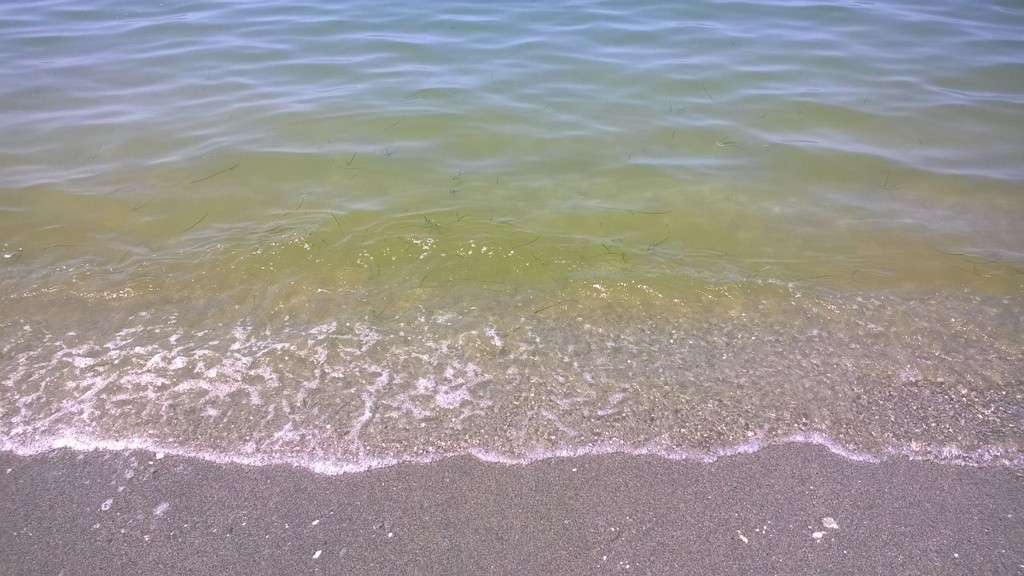 foto segnalazione 01072016 02