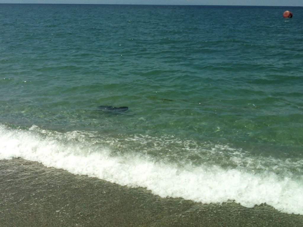 mare 1 30 l
