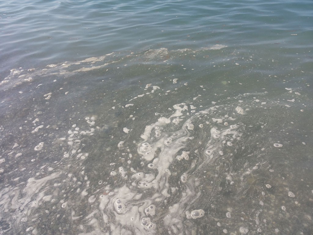 mare 5 liglio1
