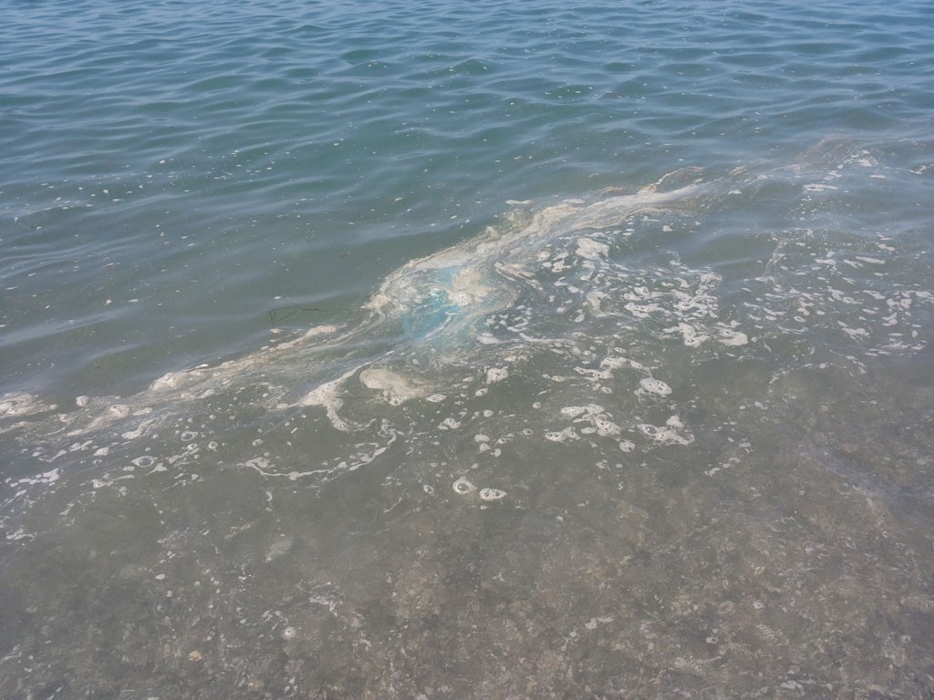 mare sporco 6 luglio