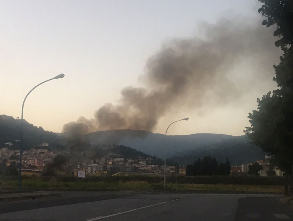 scordo fumib 0130716