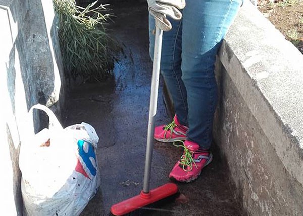 pulizia 3