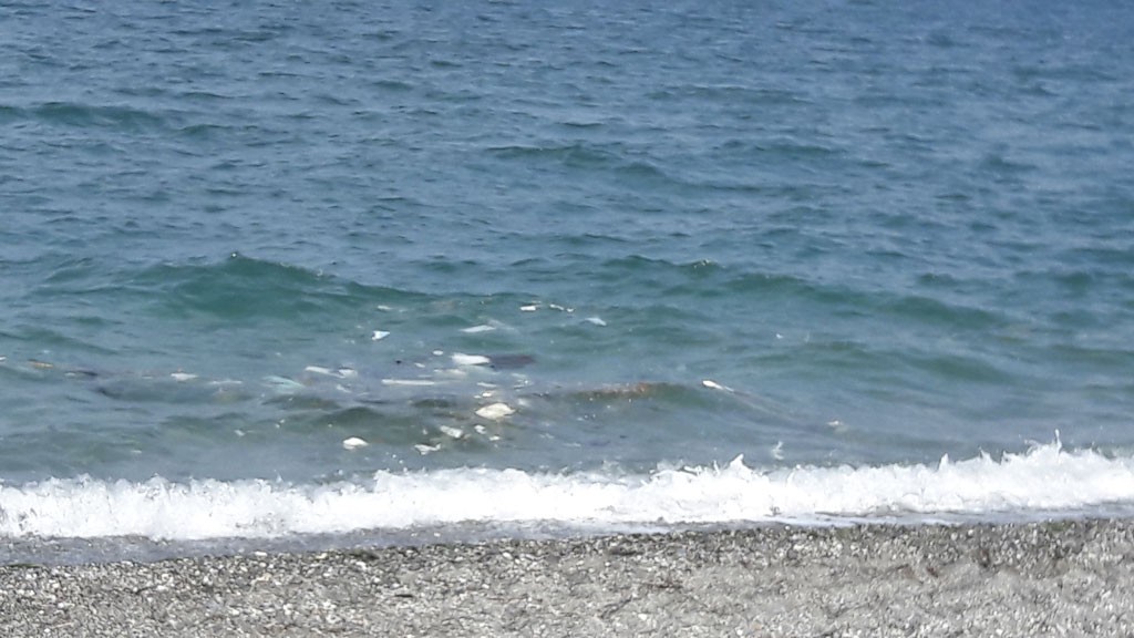 mare3