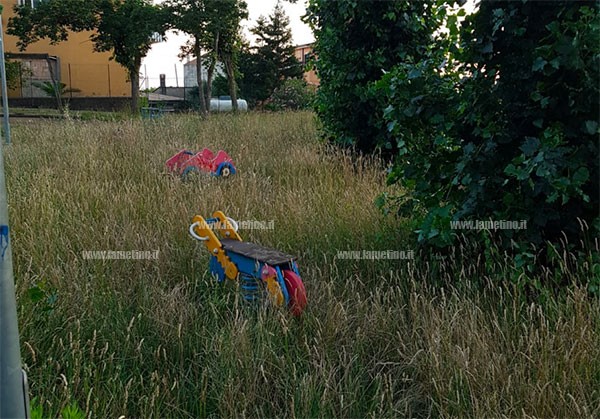 Parco fronti incuria 1