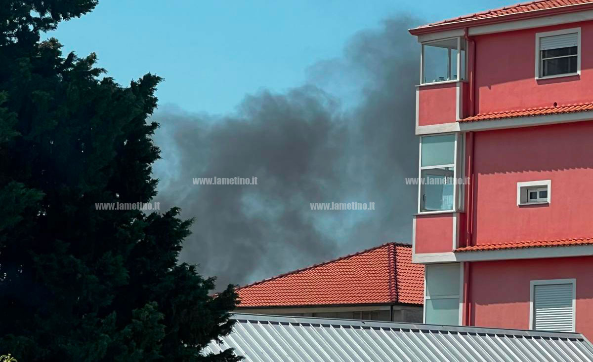 incendio-lamezia-29lugl_a05f1.jpg
