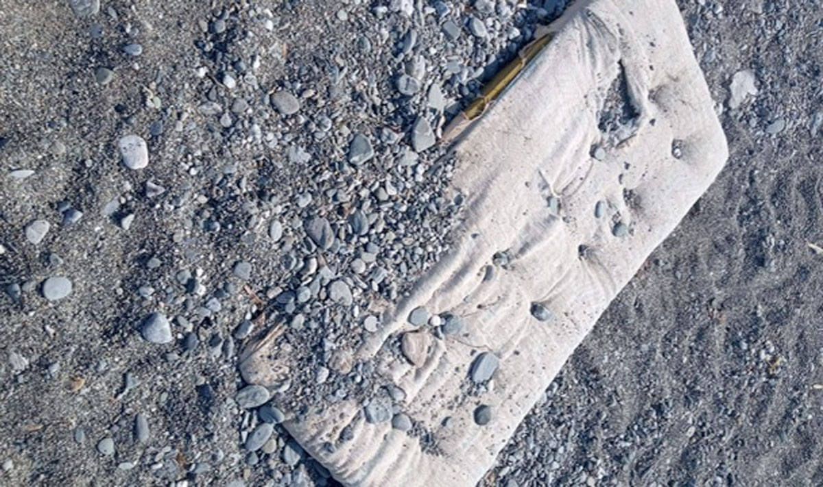 matb55d6190ad_5c050.jpg