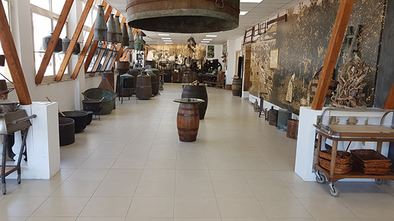 museo_bergamotto_44e72.jpg
