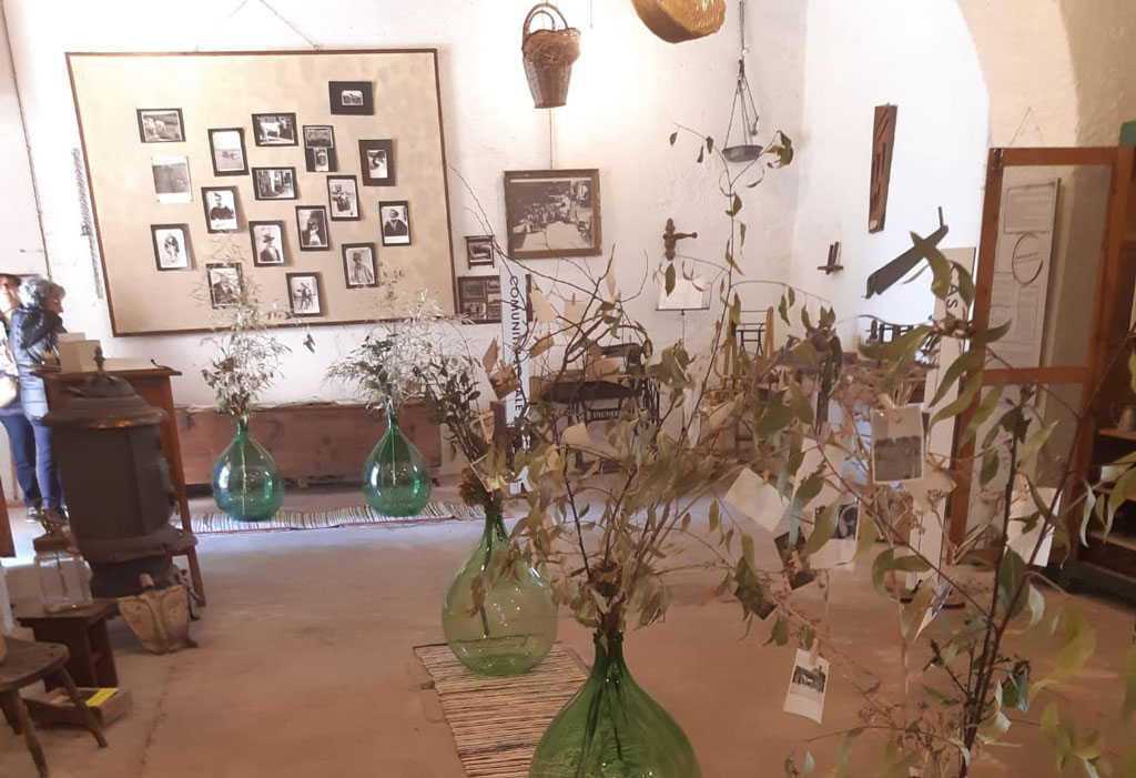 Il Circolo di Riunione di Lamezia visita la Tenuta Nicotera di Martà