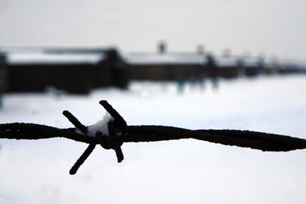Lamezia, “Oltre il filo spinato”:  viaggio della memoria a Cracovia e Auschwitz per studenti Polo "Einaudi”