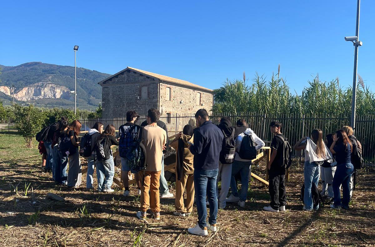 scuola4_dbcfb.jpg