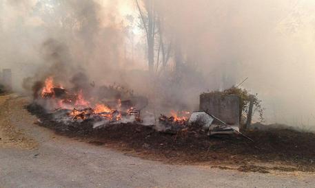 Stava appiccando fuoco, 37enne fermato a Cosenza dopo segnalazione cittadino