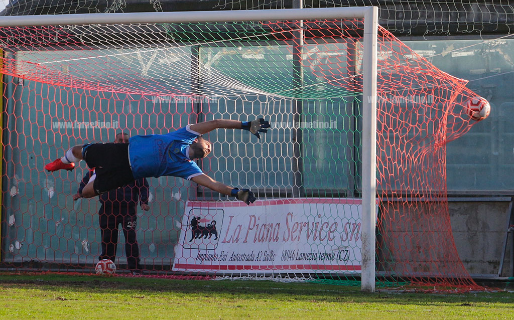 1-gol-vigor_4010e.jpg