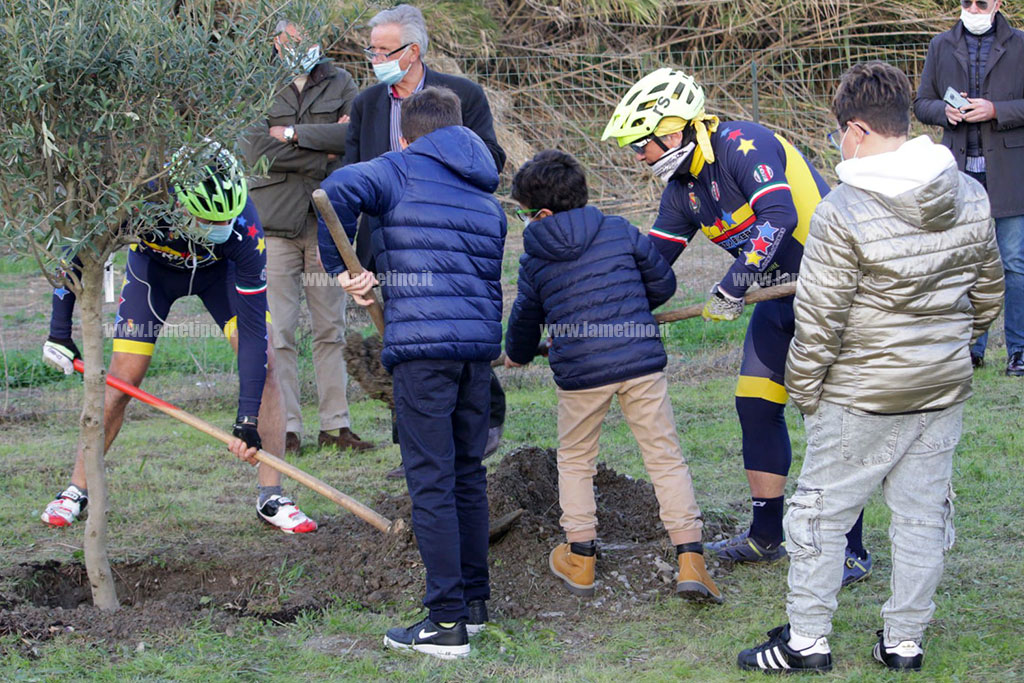 Lamezia, piantati 8 ulivi in memoria dei ciclisti nel luogo della strage di dieci anni fa