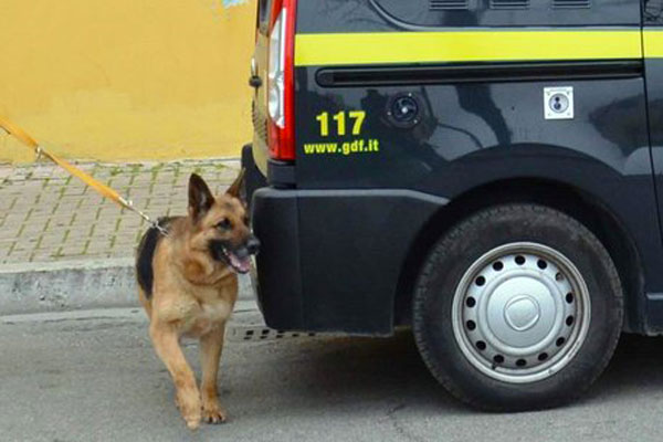 Droga, viaggiava su un bus con 3 kg di marijuana: arrestato nel Reggino