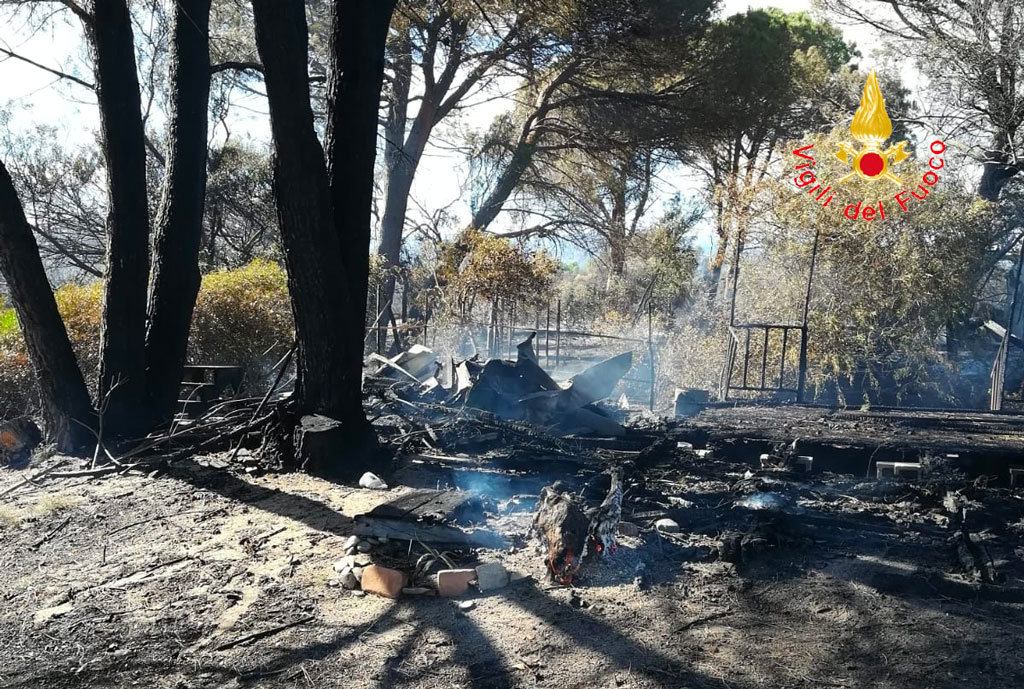 Vasto incendio a Sellia Marina, in fiamme anche ettari di uliveto