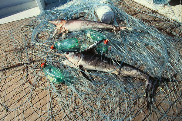Attrezzatura da pesca illegale sequestrata da capitaneria Reggio Calabria