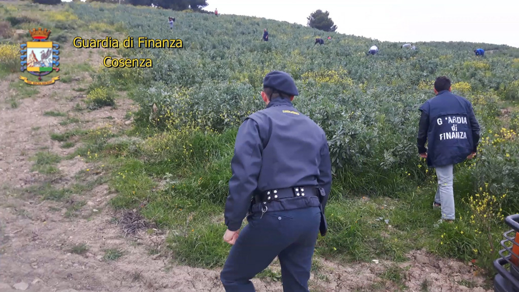 Manodopera a basso costo, denunciati 8 "caporali" nel cosentino