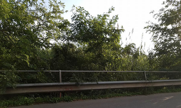 Lamezia, Associazione Quartiere Capizzaglie chiede lumi su pulizia torrente Piazza