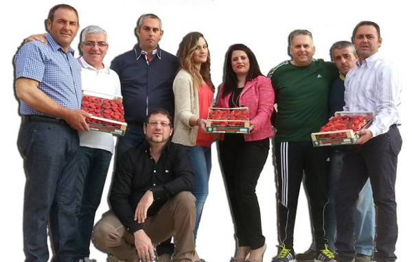 Calabria: Il 25 maggio Festa della Fragola ad Acconia di Curinga