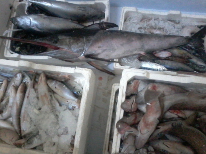 Vende pesce in cattivo stato di conservazione, una denuncia nel cosentino