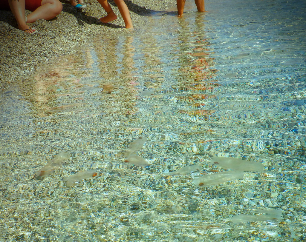 1salpe-montepaone_f323c.jpg