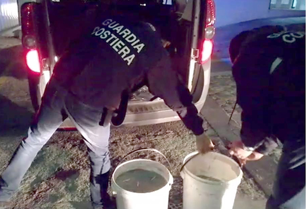 Calabria: sequestrati 200 chili di bianchetto non idoneo al consumo