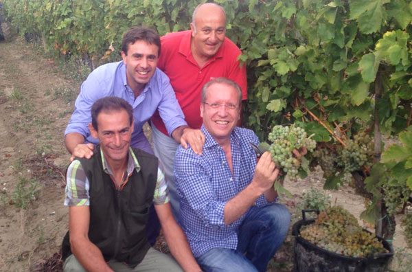 Laratta (Ismea): vendemmia calabrese, segnale positivo per nostra economia
