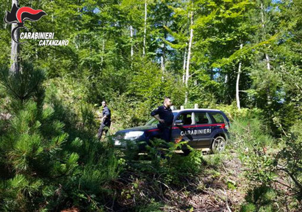 Si erano addentrati nel bosco alla ricerca di funghi, ritrovati due dispersi a Taverna