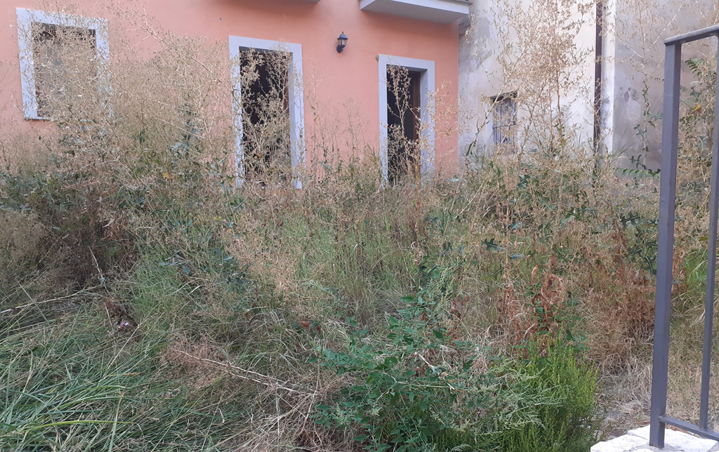 Lamezia, Italia Nostra: "Ancora degrado tra via Garibaldi e torrente Canne"