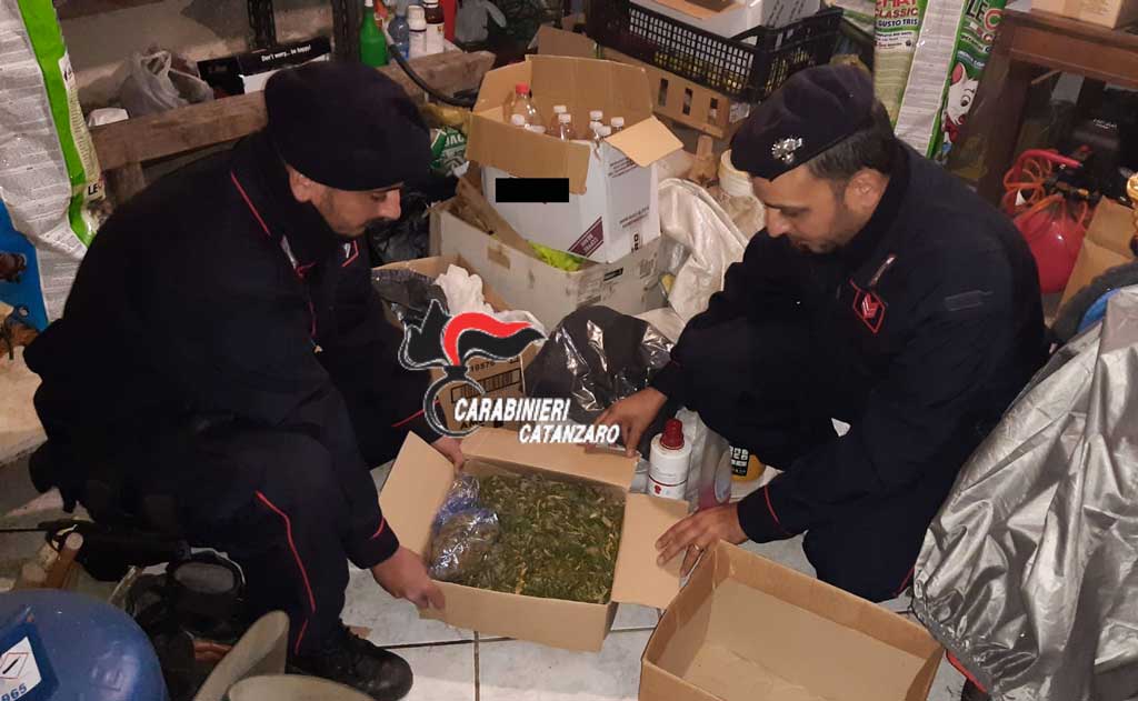 A Tiriolo trovata marijuana in casa di un 59enne grazie al fiuto del cane antidroga dei Carabinieri
