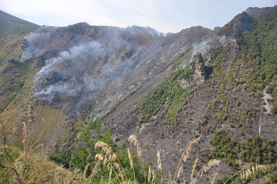 Francesco Bevilacqua: la Calabria brucia. Proclamiamo un mese di lutto (e di riflessione) nazionale