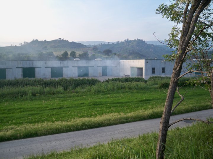 Marcellinara, fumi da fabbrica Seteco: comitato promuove sit-in per 30 luglio a Catanzaro 