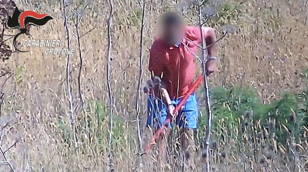 Coltivavano marijuana nella periferia di Crotone, arrestate 6 persone - VIDEO