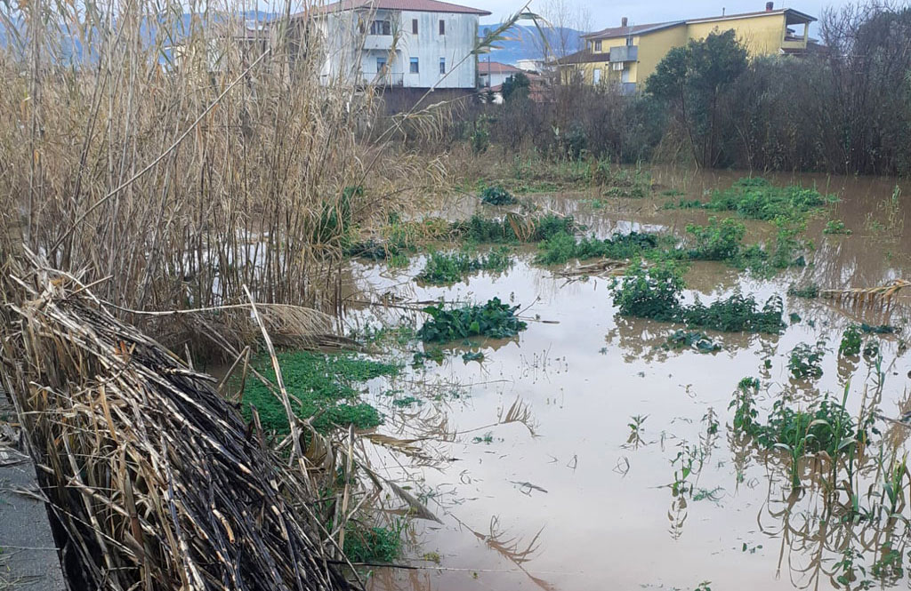 Lamezia, consigliere regionale Pietro Raso: "Affidati lavori pulizia fiumi Cantagalli e Bagni"