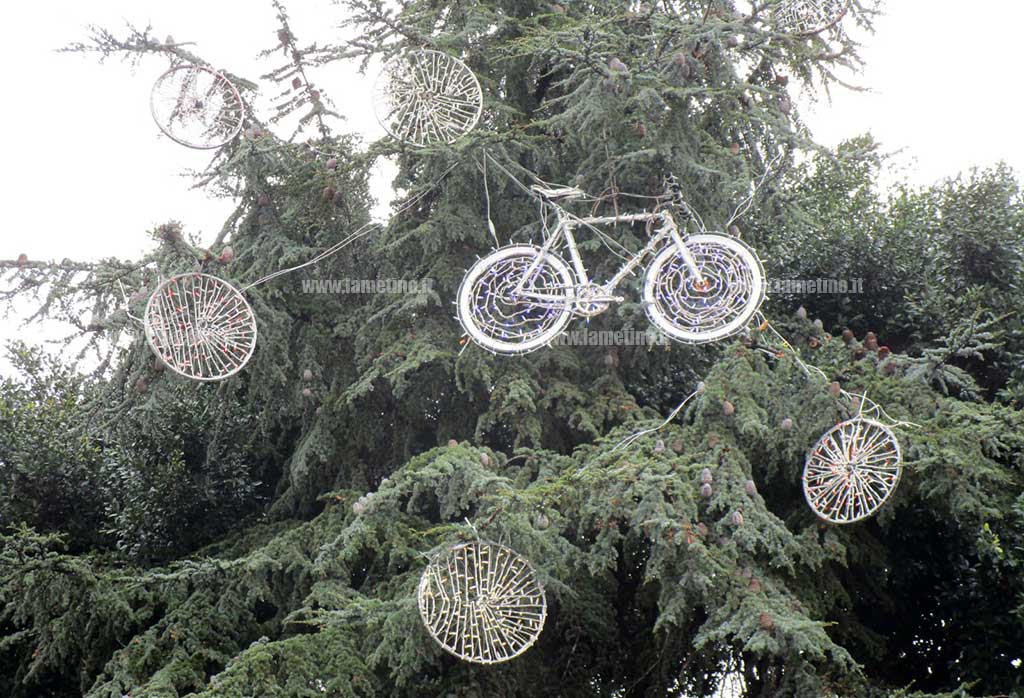 5-dicembre-2021-ciclisti24a19bbb_48c9e.jpg