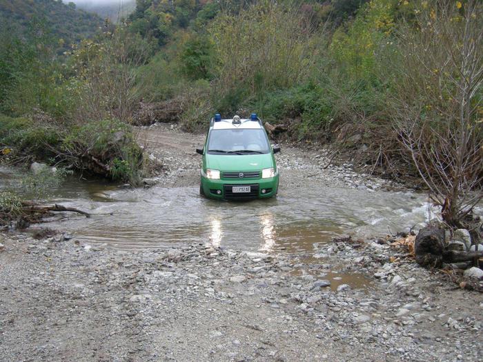 Corpo forestale sequestra 40 ettari bosco nel cosentino, 10 indagati
