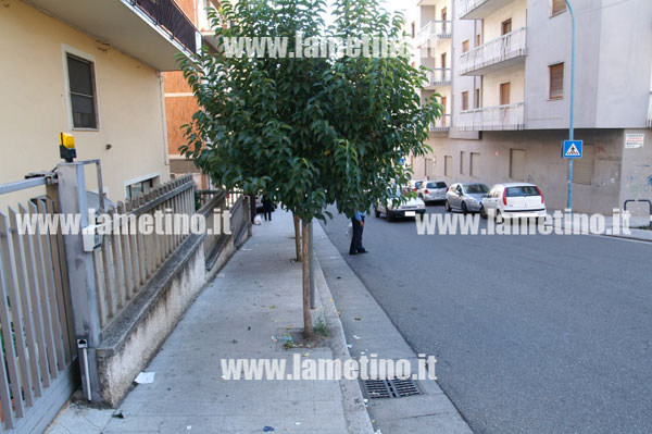ALBERI-VIA-DEI-MILLE-2.jpg