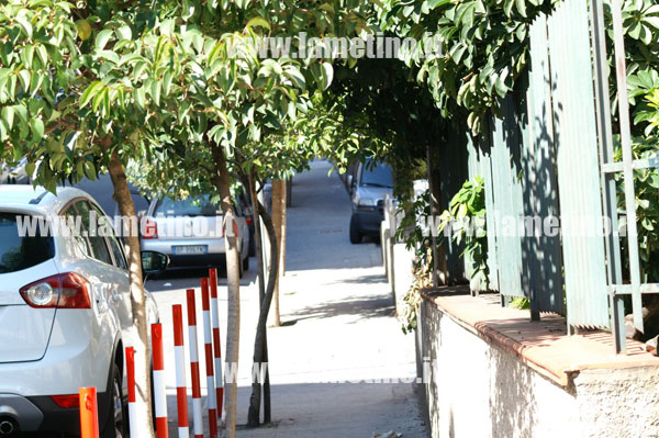 ALBERI-VIA-DEI-MILLE-5.jpg