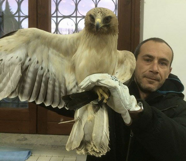 AQUILA-MINORE-21.jpg