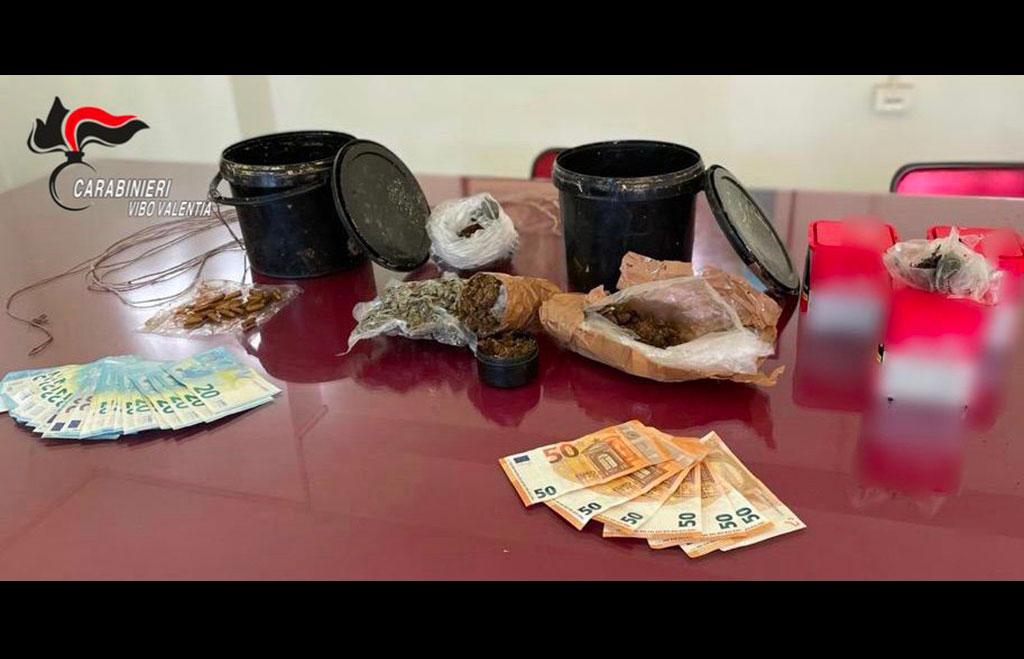 Droga, soldi e una pistola nascosti nell'orto: arrestato 33enne nel vibonese - VIDEO