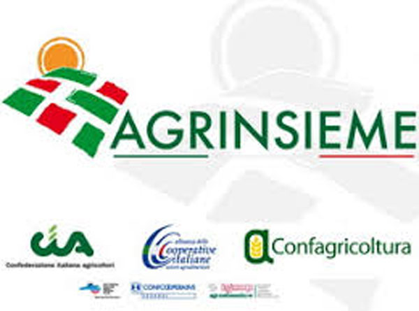 Lamezia: Domani conferenza illustrerà mission e operatività di Agrinsieme