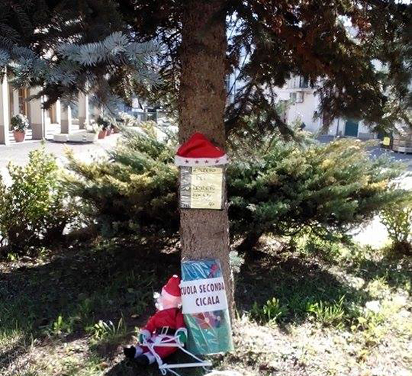 Albero-3-.jpg