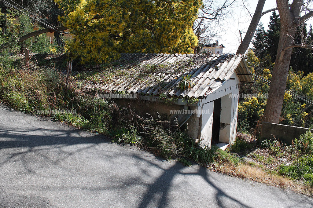Albero-via-grappa-3.jpg