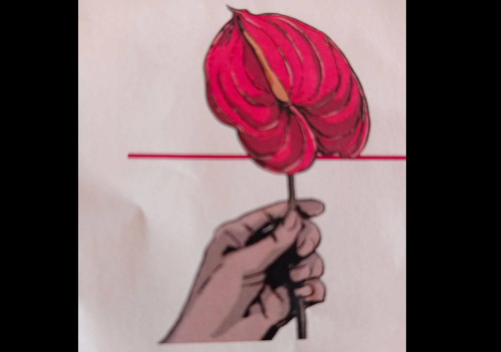 Lamezia, “Premiazione un Anthurium nel Cuore” il 17 luglio 
