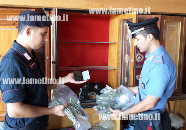 Calabria: Nascondeva droga nell’azienda di famiglia, 30enne arrestato