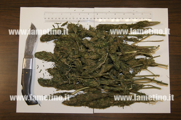Arrestato a Girifalco per detenzione marijuana dipendente Asp