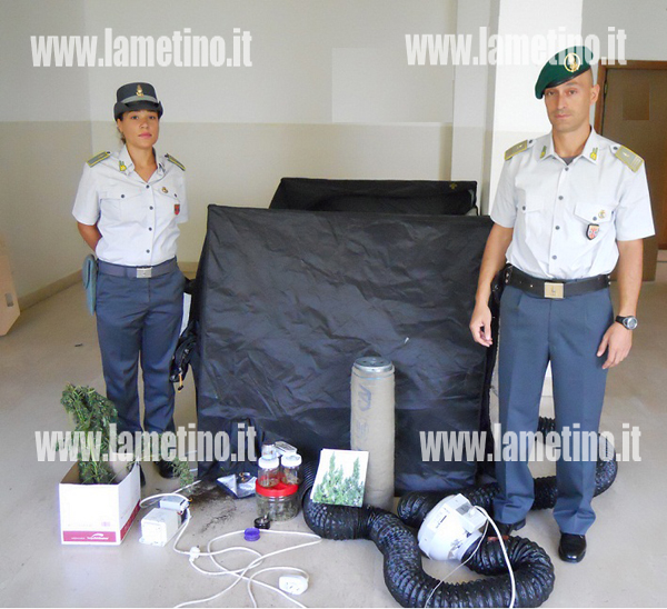 Lamezia: Denunciato giovane lametino per coltivazione e spaccio di marijuana