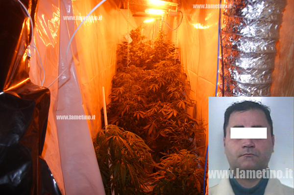 Lamezia: Arrestato 35enne per detenzione di marijuana
